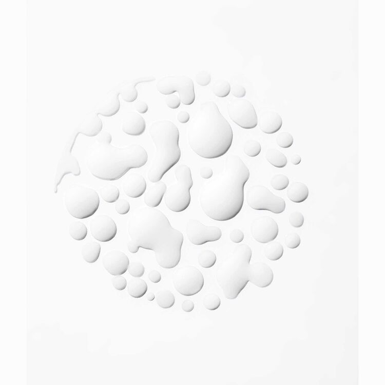Refresh Absolu